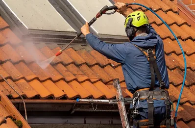 Démoussage et hydrofuge de toiture à Pontacq